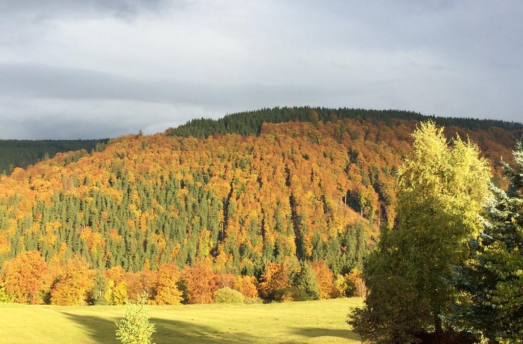 Ferienwohnungen Gehlberg Exterior foto